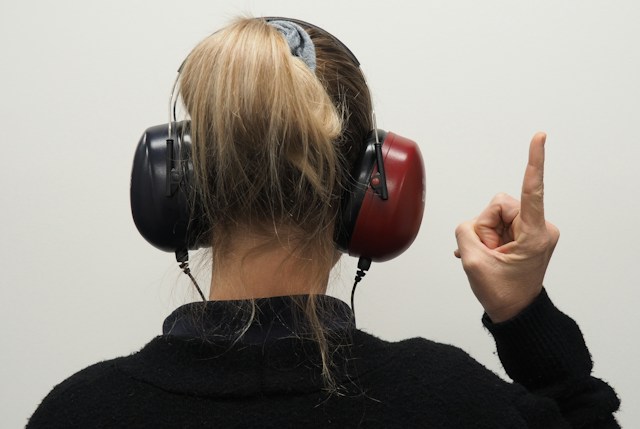 Ear Muffs
